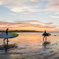Saint John_Paddleboarders at Irving Nature Park