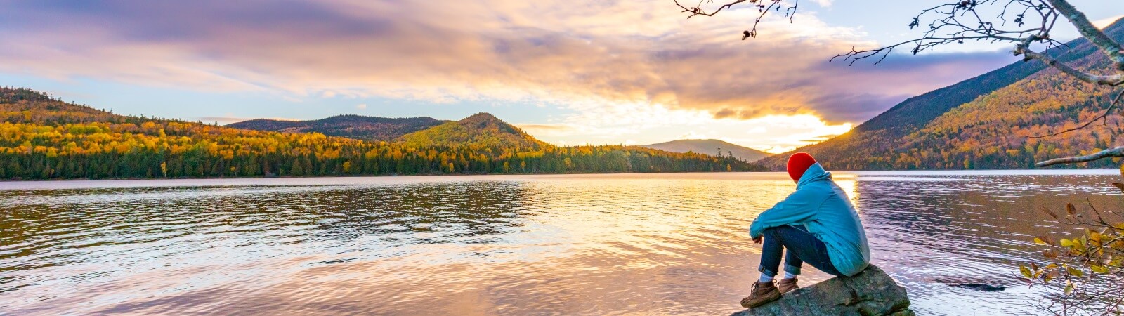 Study in New Brunswick